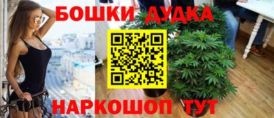 МДПВ Новозыбков