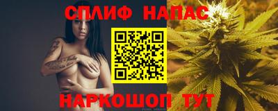 МДПВ Новозыбков