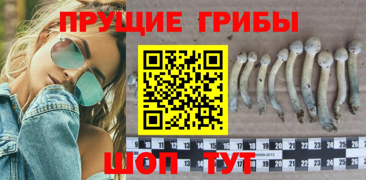 Псилоцибиновые грибы Magic Shrooms Самара