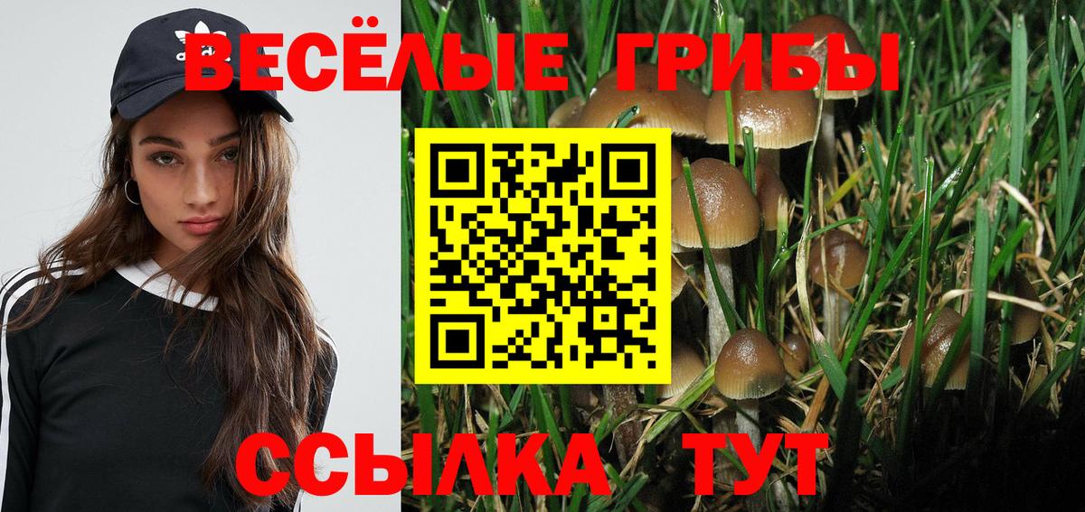 купить   Вход с VPN  Самара  Псилоцибиновые грибы прущие грибы 